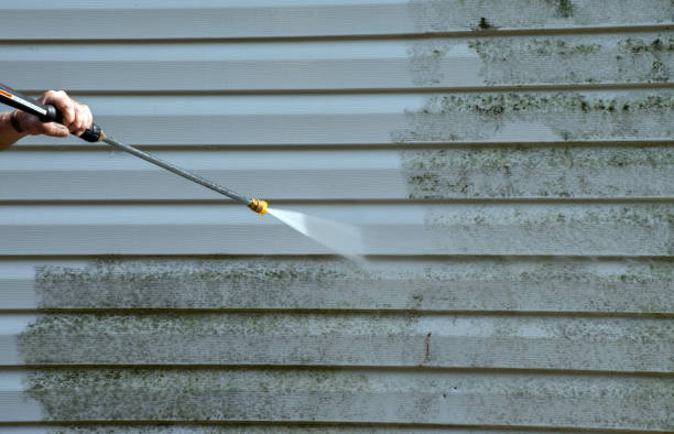 Best Mold Remediation for Specific Building Types in La Honda, CA