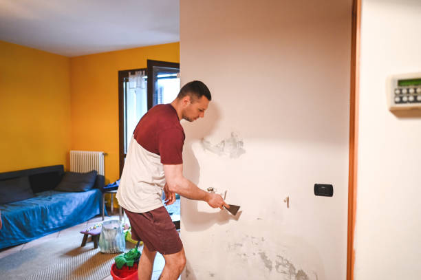 Best Emergency Mold Remediation in La Honda, CA